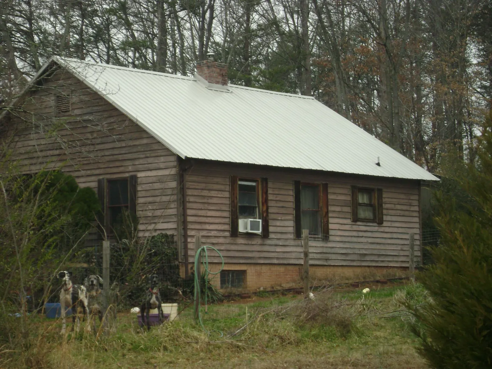 White metal roof on an old wood sided farmhouse in Rochester